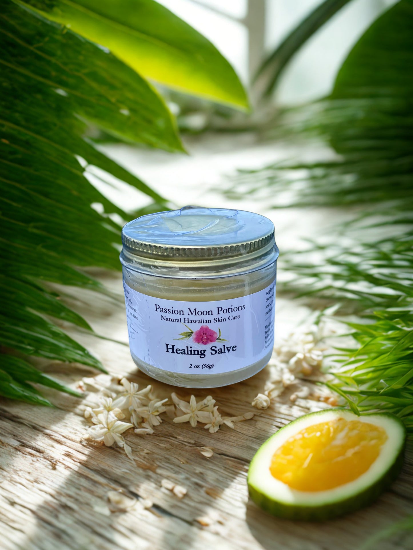 Healing Salve 🌿 Nature’s First Aid for Cuts, Bites & Dry Skin