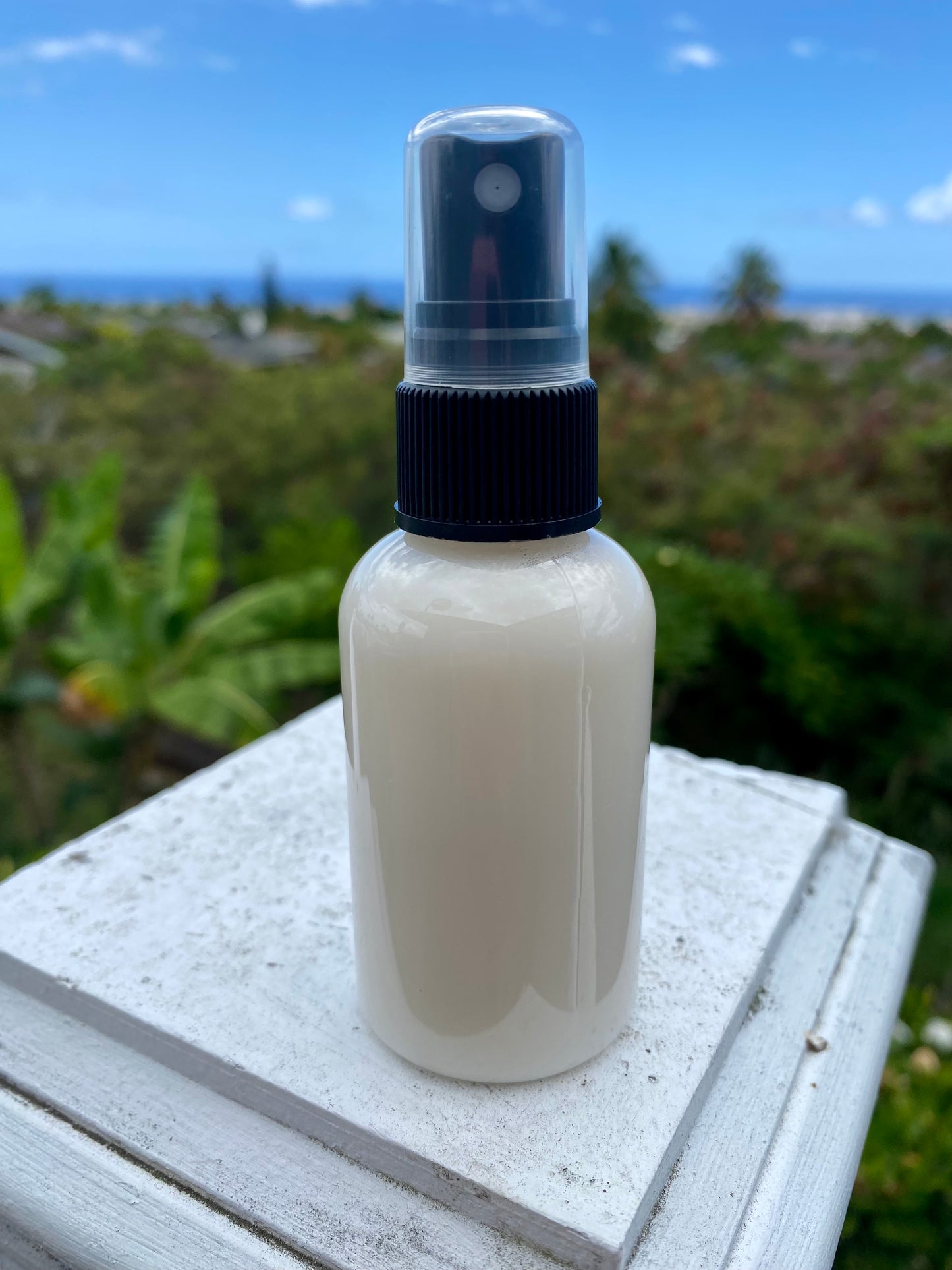 Leave-In Conditioner Spray (Case of 12) — Moisturize, Detangle & Nourish | Passion Moon Potions