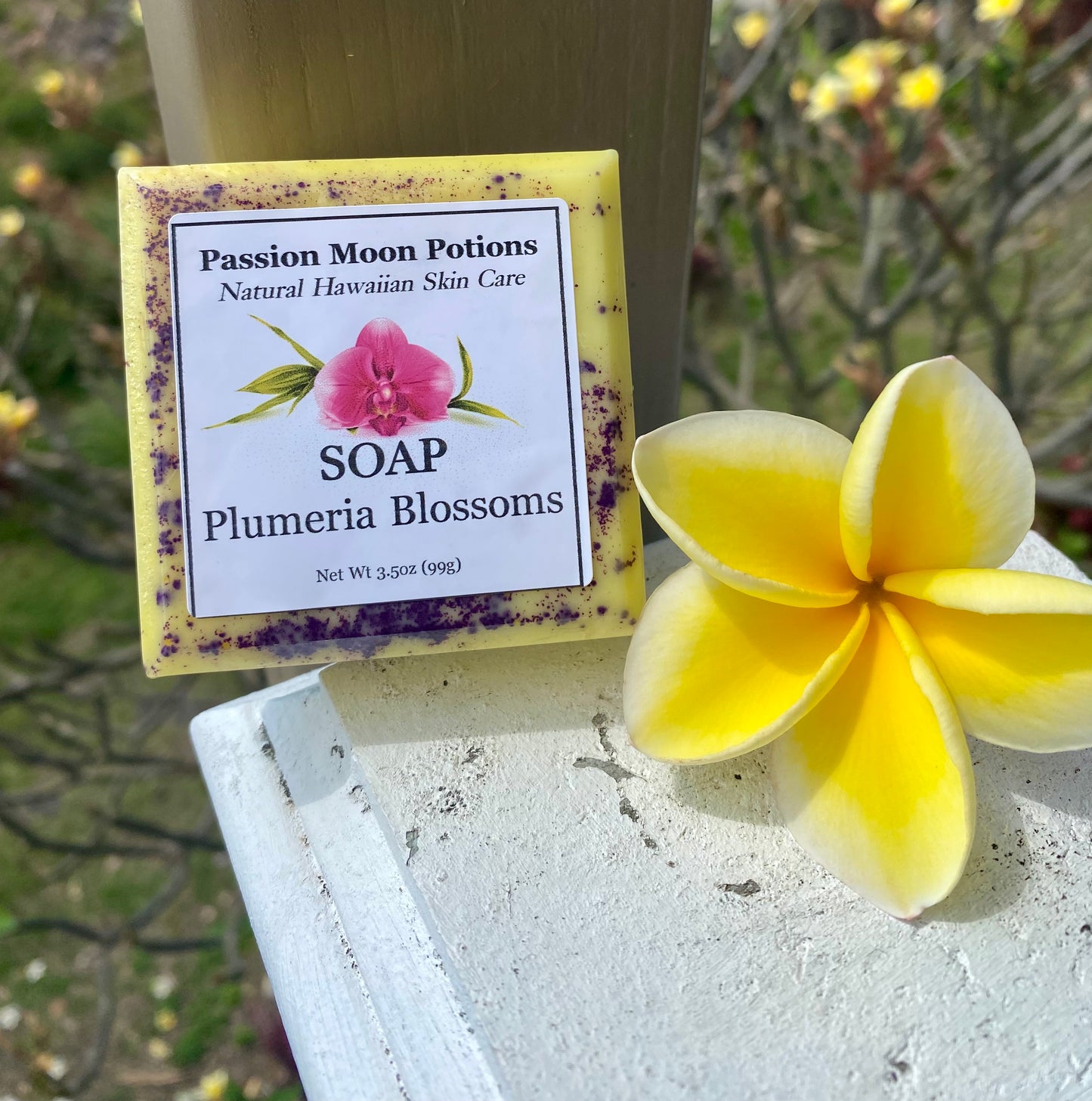 Hand and Body Soaps 🌿 Natural Cleansing with a Touch of Aloha