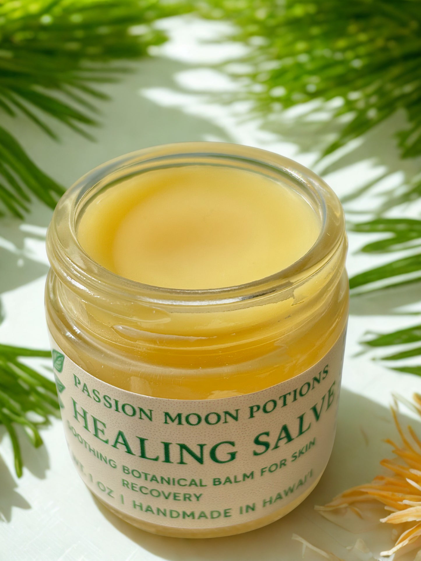 Healing Salve | Multi-Purpose Skin Balm for Dry Skin, Cuts & Irritation