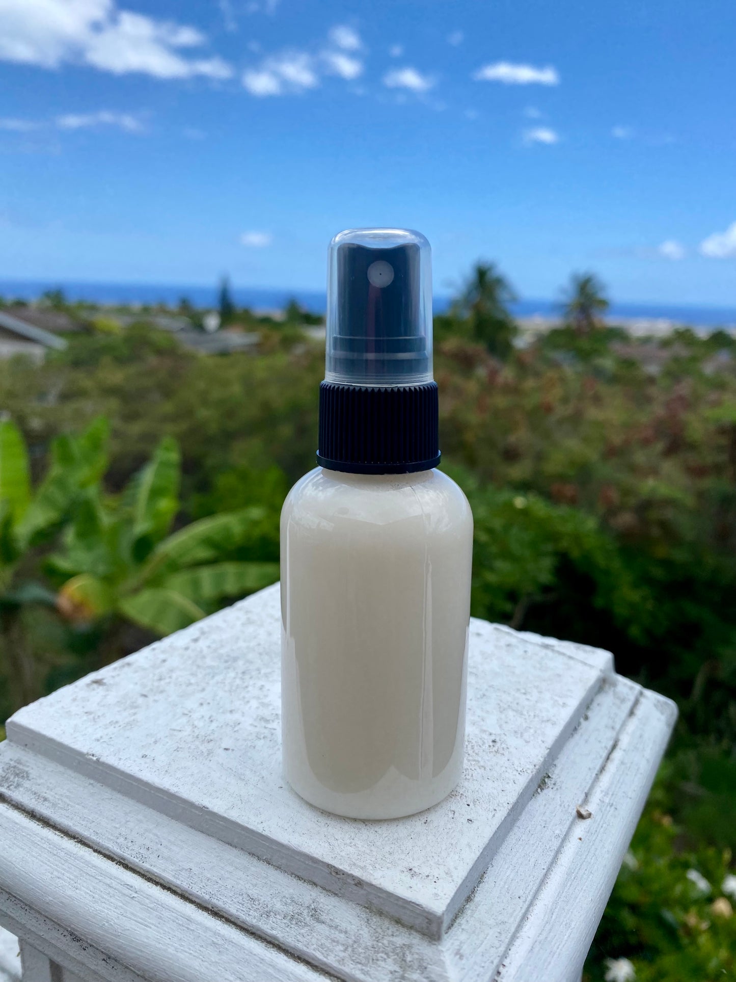 Leave in Conditioner Spray Case of 12