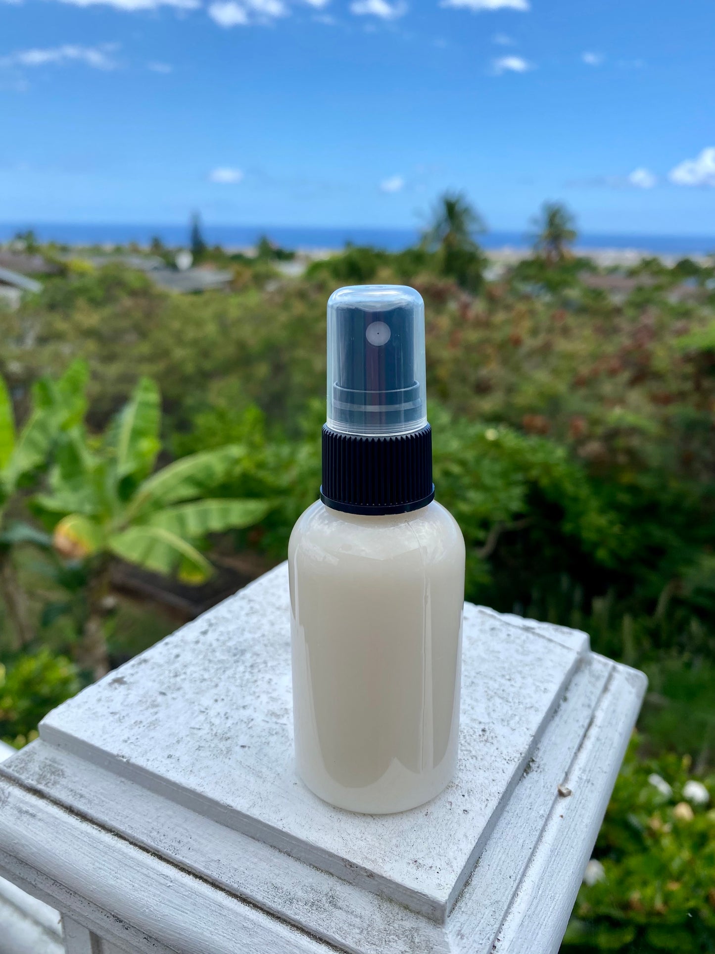 Leave in Conditioner Spray Case of 12