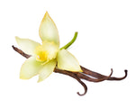 Vanilla Bean Fragrance Oil