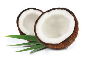 Coconut Fragrance Oil